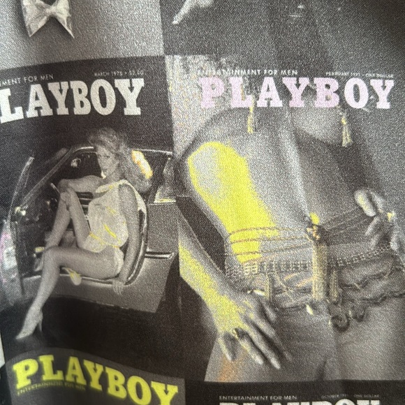 Custom Playmate - Picture 3 of 3